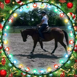 Meet your Posher, Rhonda